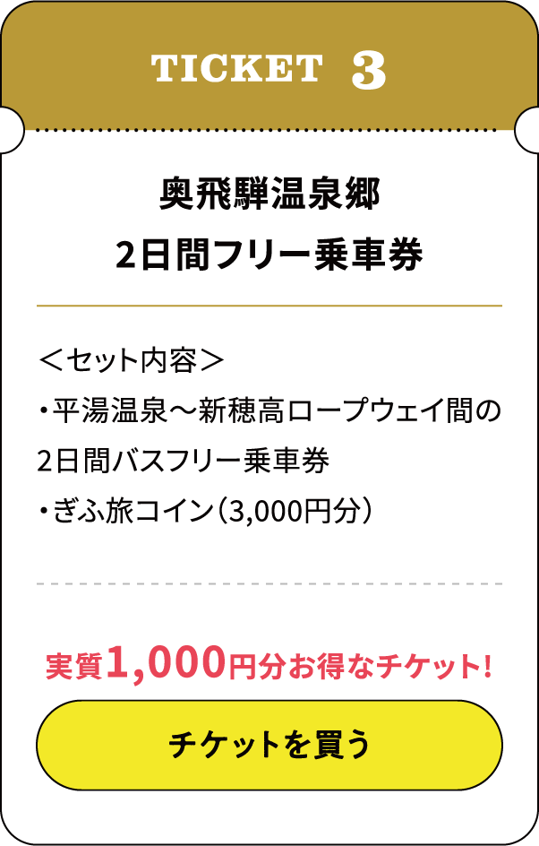 奥飛騨温泉郷2日フリー乗車券
