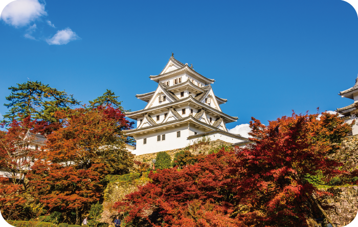郡上八幡城のイメージ
