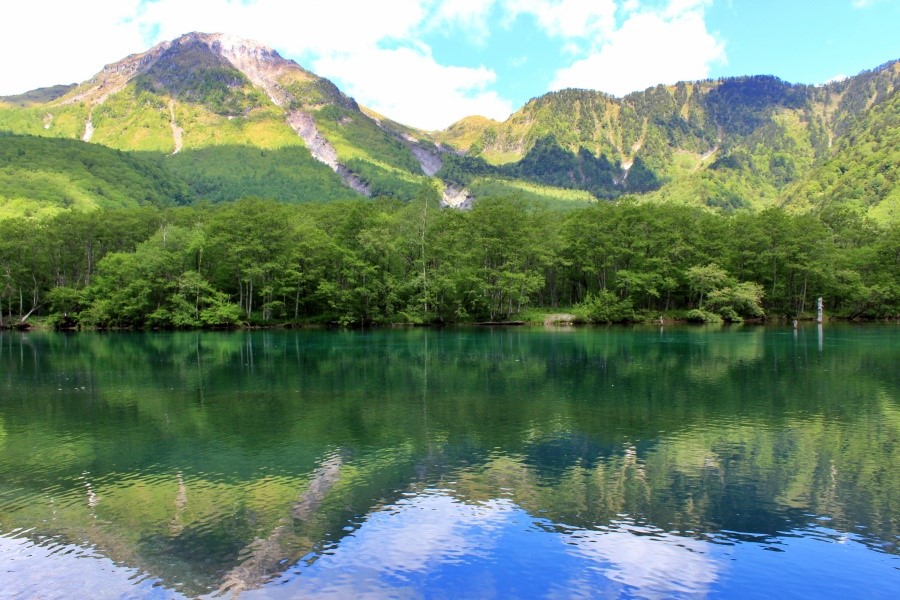 堰塞湖大正池是上高地的代表性美景之一
