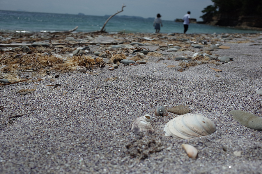 日本唯一的紫色海灘「新谷海岸」，紫色海砂來自於淡菜的貝殼碎片。