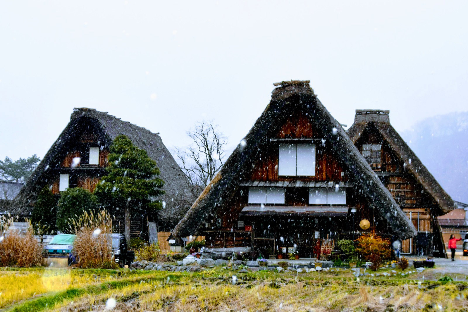 世界遺產「白川鄉」