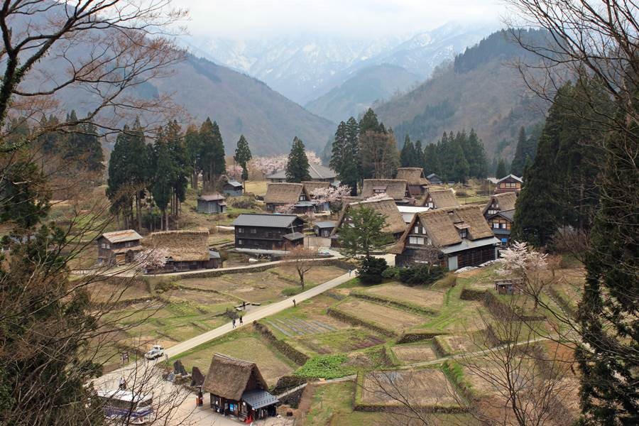 從展望台上眺望的相倉聚落，彷彿日本童話中的一頁風景