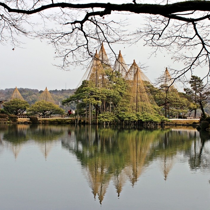 兼六園和金澤城