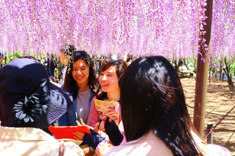 紫藤花園子裡因緣際會地與日本人搭上話，意外地展開日文交流。