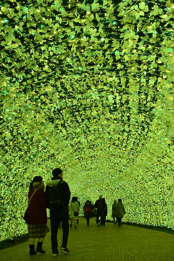 百米隧道－－《油菜花》