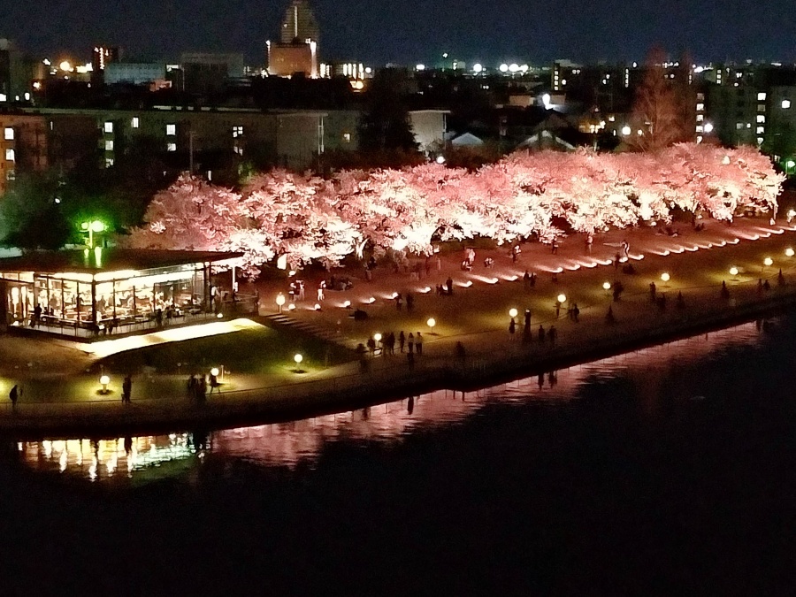 富岩運河環水公園