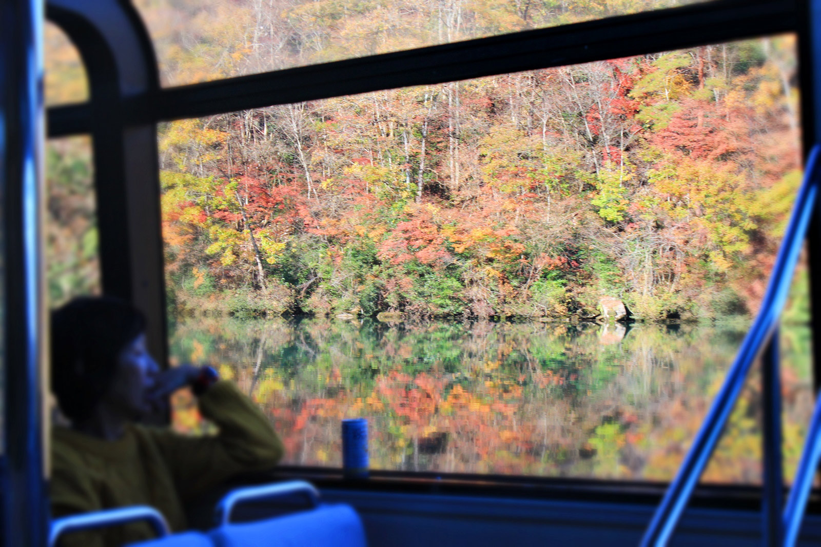 紅的、黃的倒映在河面上，景色很是夢幻