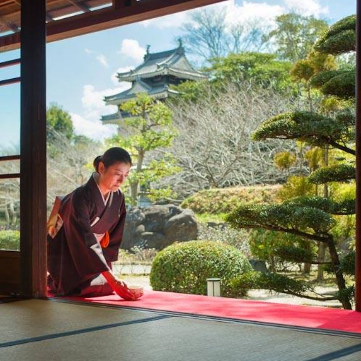 抹茶生產地在愛知