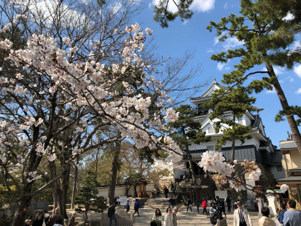 岡崎城