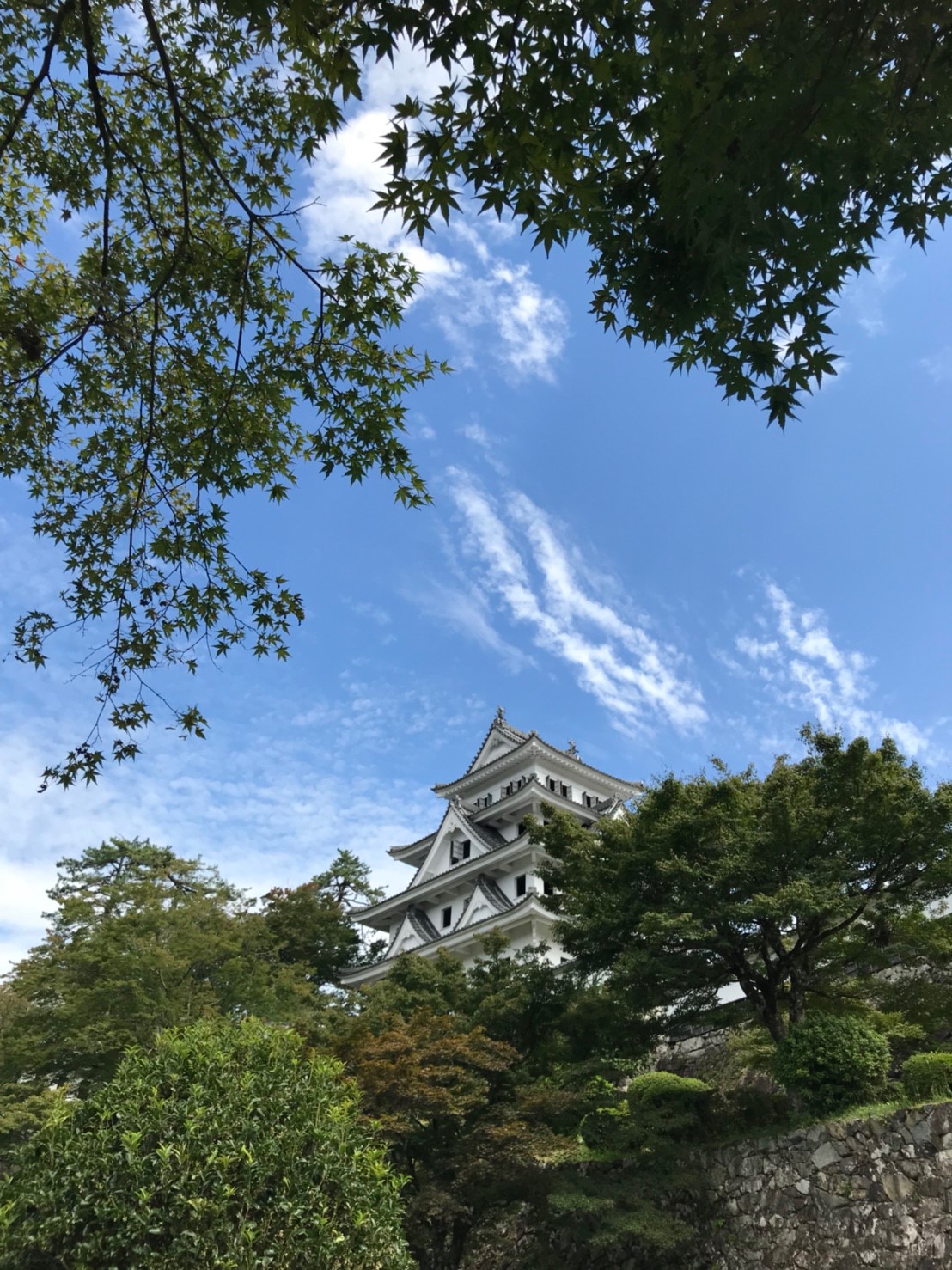 郡上八幡城