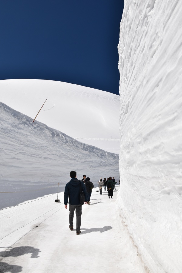 雪的大谷