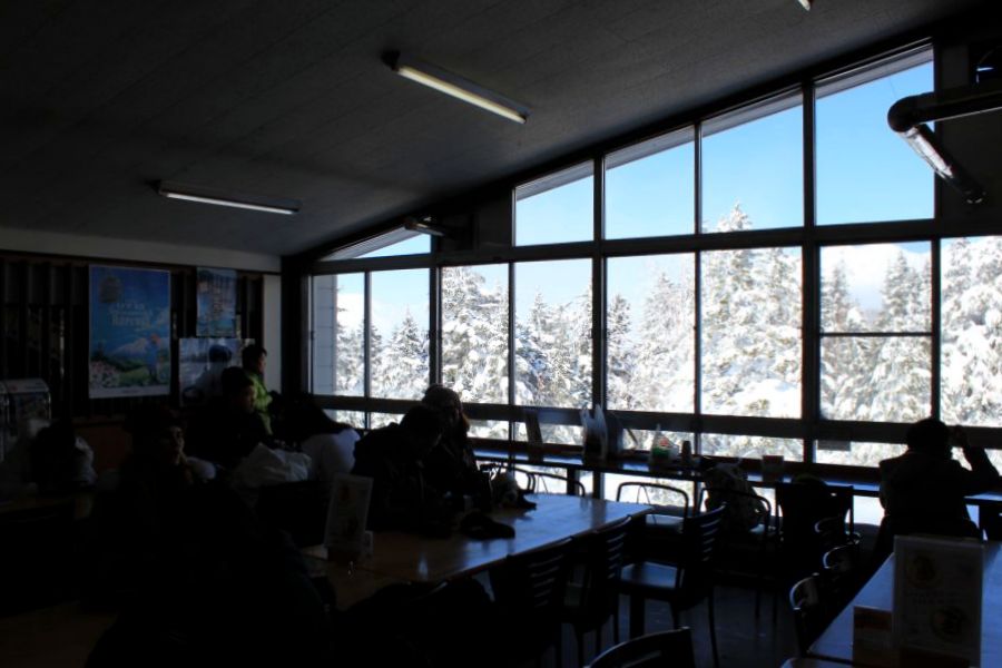 餐廳內也能眺望雪景，在美景中的午餐美味更上一層!備有中文菜單