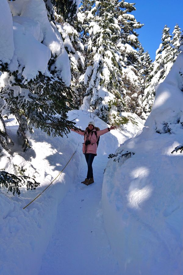 今年因為暖冬的關係雪壁雖然不到三公尺，但最高的地方也已經超過我的身高了