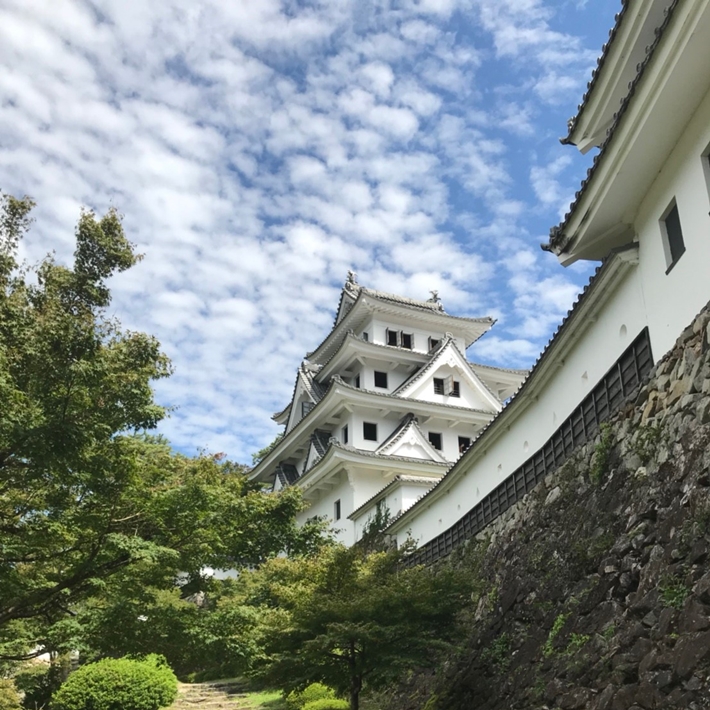 郡上八幡城