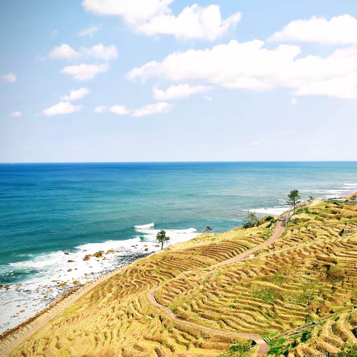 能登半島：輪島市及周邊深度旅行