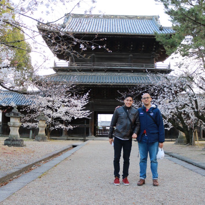Enjoy Spring with the Sakura Season and learn about Tokugawa Ieyasu in Okazaki.