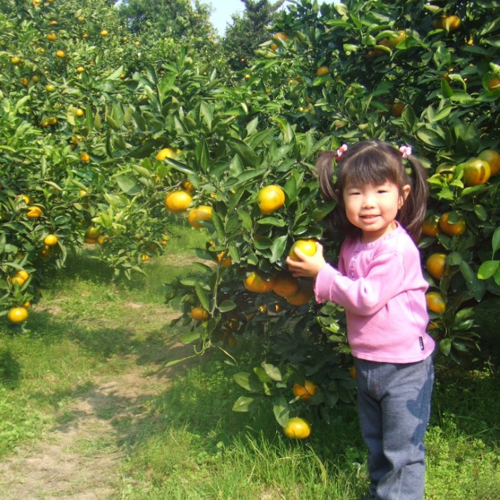 Fruit-Picking