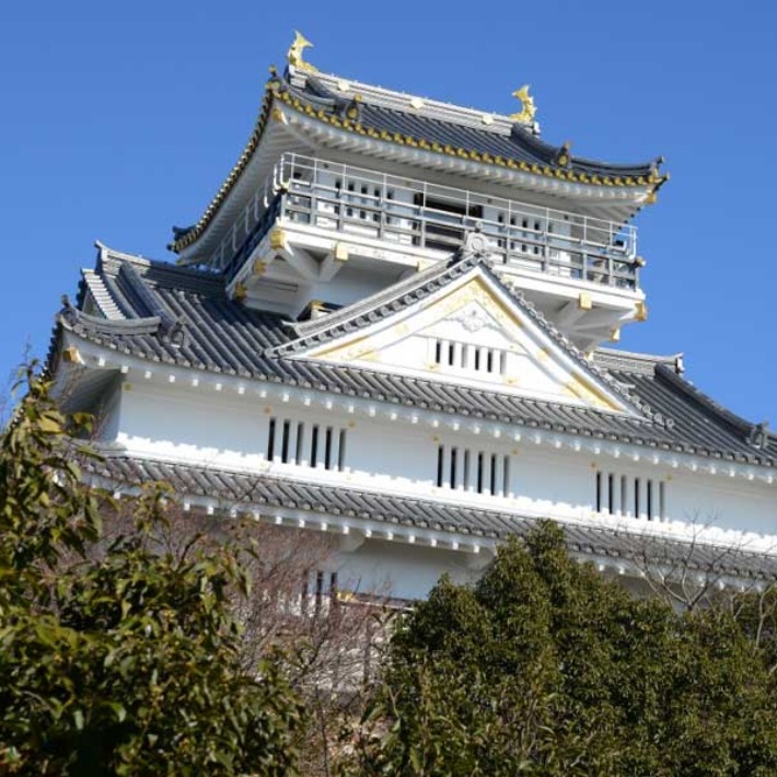 Gifu Castle