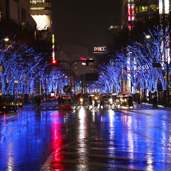 Illuminations in Nagoya – A Wintertime Treat