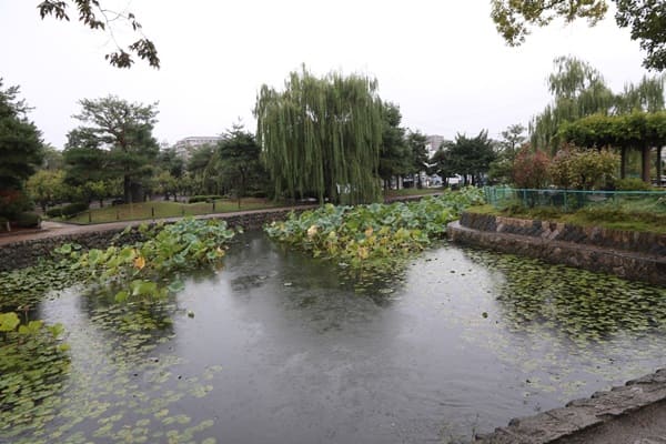 Matsumoto Castle