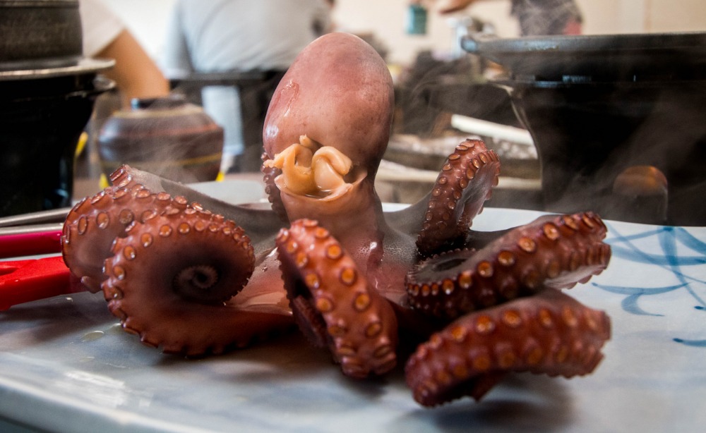 Boiled octopus in lunch