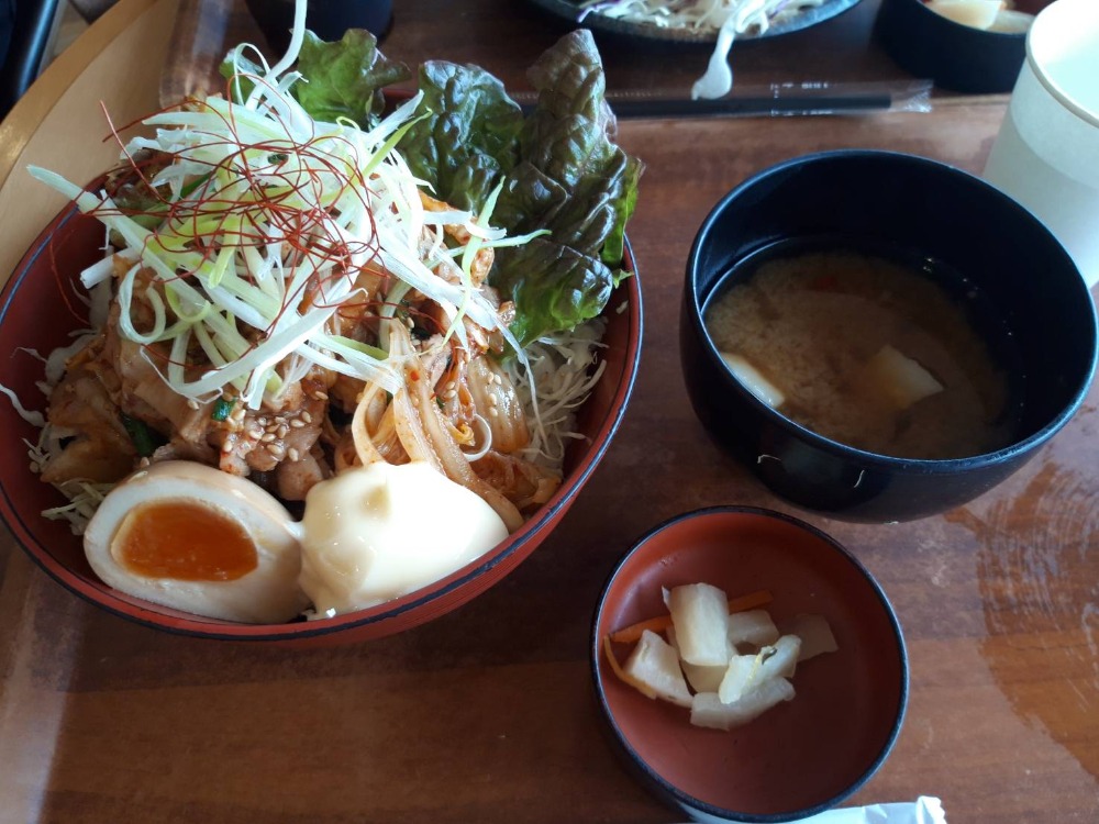 Mikedon, a rice bowl topped with various ingredients.