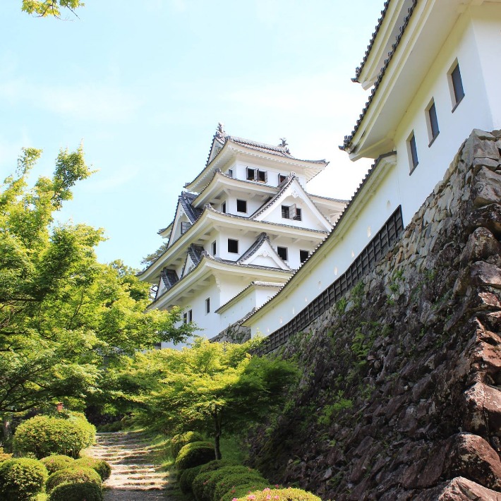 Gujo Hachiman train and bus ticket