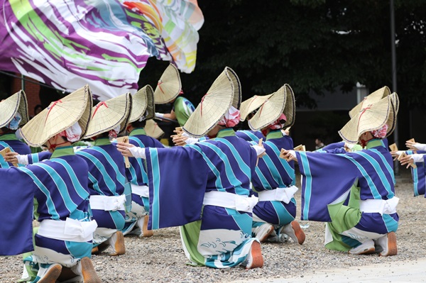 The 20th Nippon Domannaka Matsuri Dance Festival