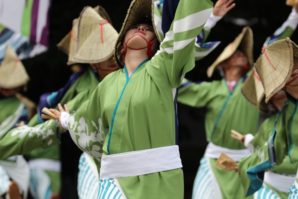 The 20th Nippon Domannaka Matsuri Dance Festival