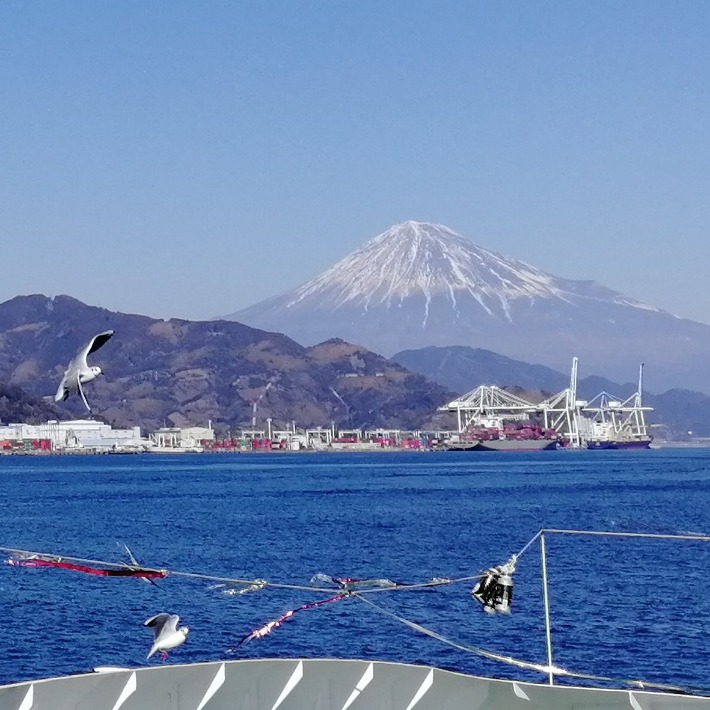 One Day Bus Tour: Fresh Strawberries Picking & Mt. Fuji Viewing Cruise