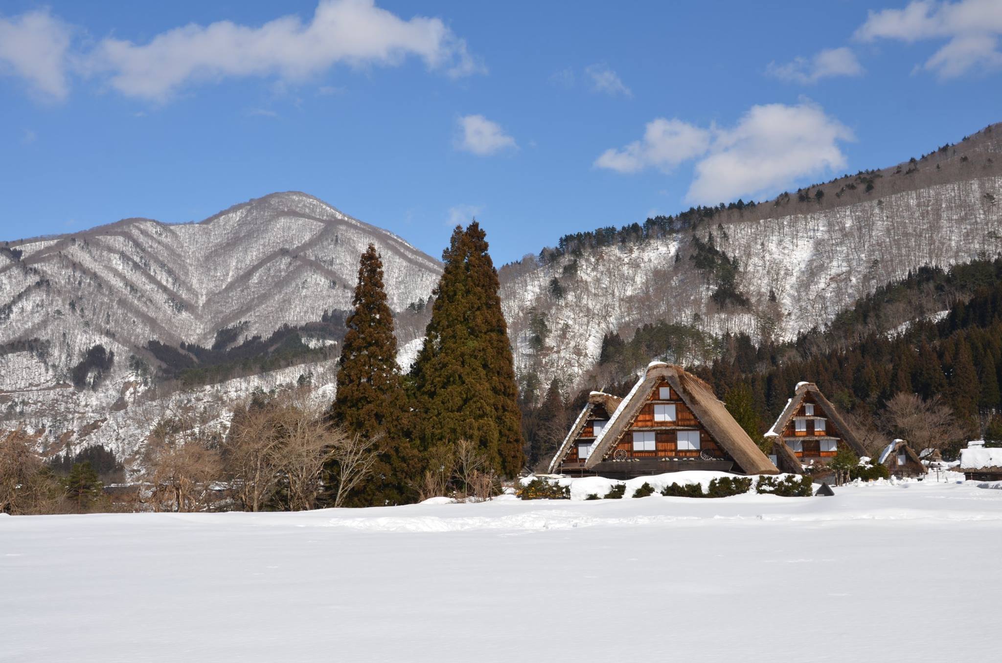 Transfer Tickets Connecting Central Japan International Airport and Takayama