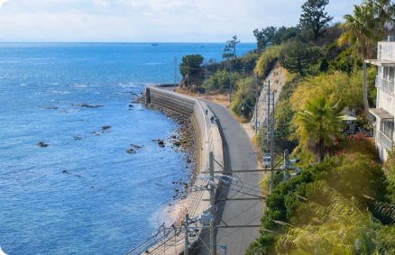 海沿いの道と三河湾