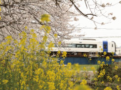 徳重・名古屋芸大～大山寺