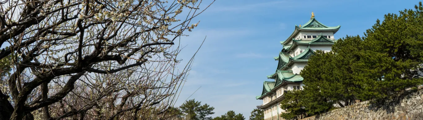 Aichi & Gifu Highlights