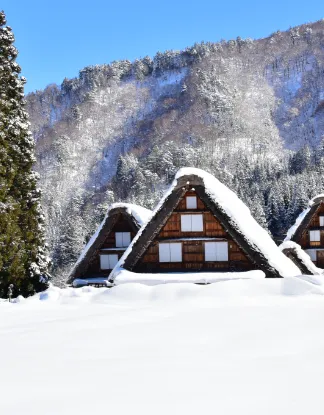 Japan’s Timeless Landscapes