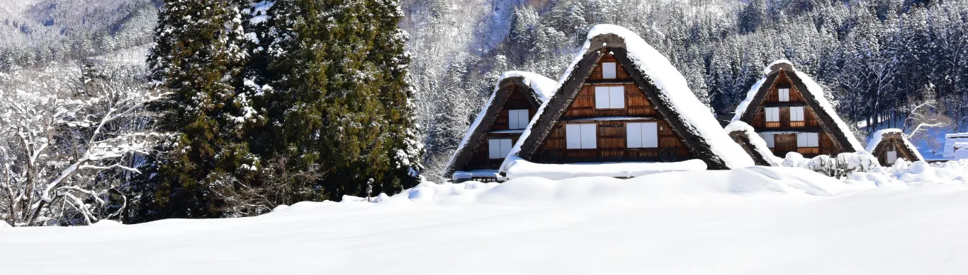 Japan’s Timeless Landscapes