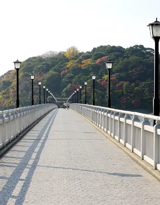 Mikawa Bay Delights