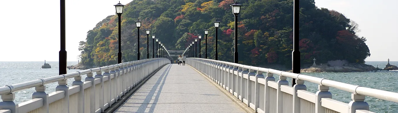 Mikawa Bay Delights