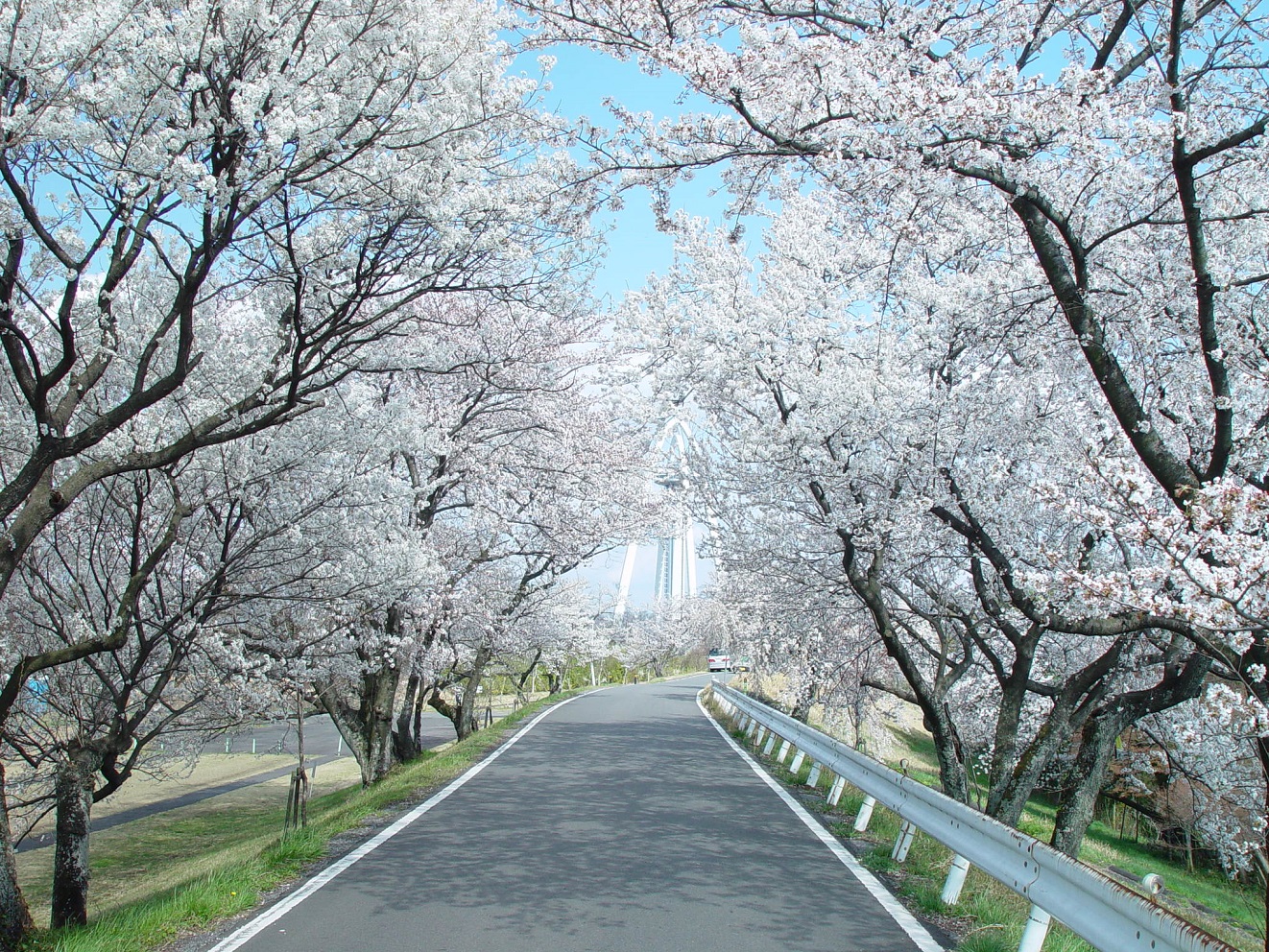 一宮 モーニング きっぷ