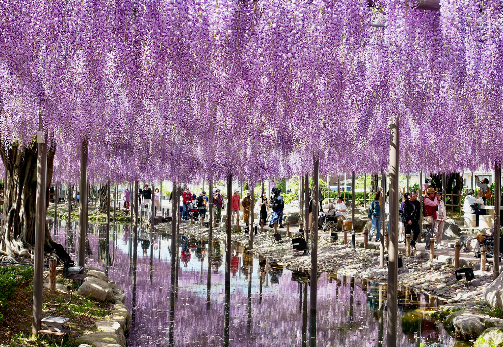 天王川公園