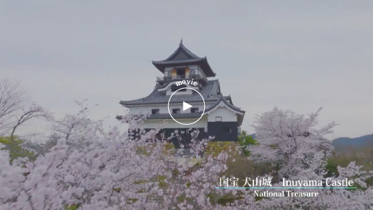 ドローンで見る国宝犬山城と桜